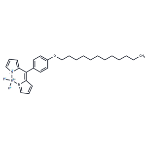 化合物 BODIPY-C12,BODIPY-C12