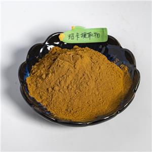 瑪卡提取物