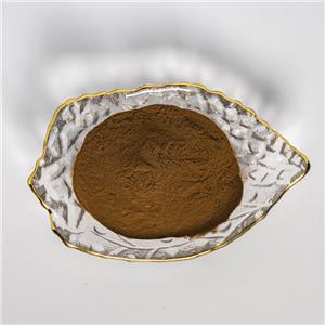 巴西晃晃木提取物,Brazilian boldo extract