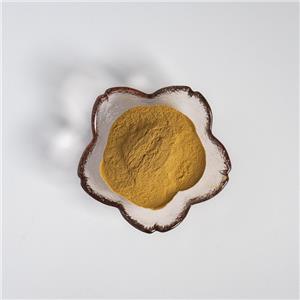 馬錢子提取物,Semen Strychni