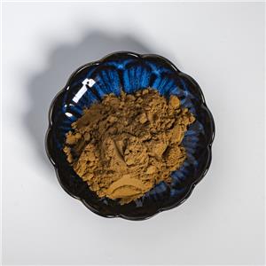 綠茶提取物,green tea extract