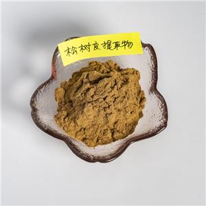 松樹皮提取物,pine bark extract