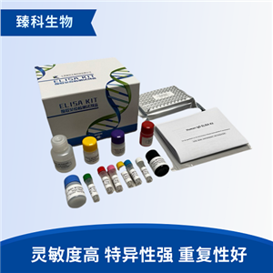小鼠糖蛋白130(gp130）elisa檢測(cè)試劑盒