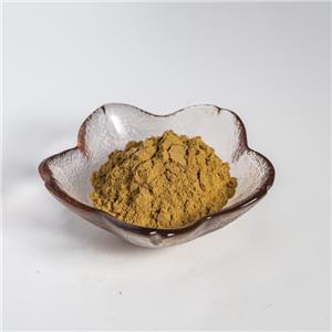 威靈仙提取物,Clematis chinensis extract