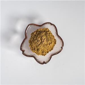 威靈仙提取物,Clematis chinensis extract