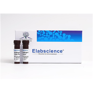 PE标记抗小鼠Ly-6G/Ly-6C (Gr-1)抗体[RB6-8C5]Elabscience流式抗体-E-AB-F1120D,PE Anti-Mouse Ly-6G/Ly-6C (Gr-1) Antibody[RB6-8C5