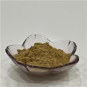 大薊提取物