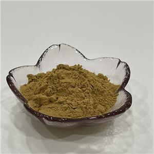 大薊提取物,Japanese Thistle Herb