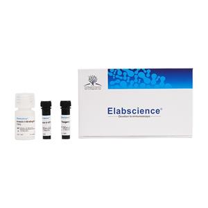 PE 抗小鼠/大鼠 CD29抗體[HMβ1-1]Elabscience流式抗體-E-AB-F1309D,PE Anti-Mouse/Rat CD29 Antibody[HMβ1-1
