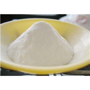 歐洲瓊脂粉,European Bacteriological Agar A000