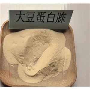 大豆蛋白胨 BIOTECNICA 墨西哥進(jìn)口