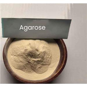 Hispanagar 瓊脂糖 西班牙進(jìn)口