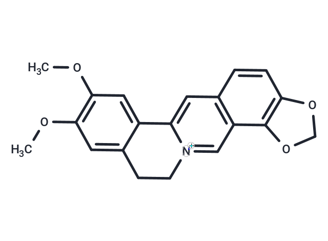 表小檗堿,Epiberberine