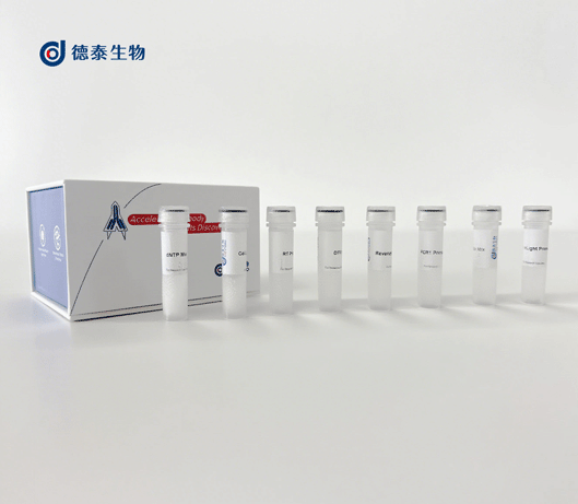 cDNA第一鏈合成試劑盒,First Strand cDNA Synthesis Kit
