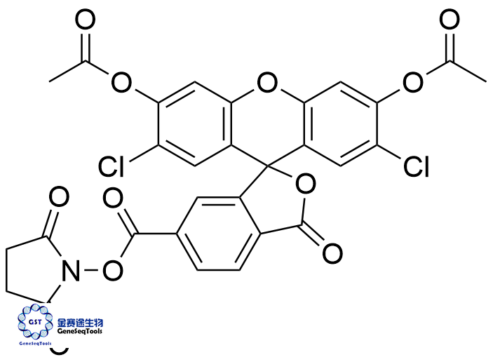 6-羧基-2',7'-二氯熒光素 3',6'-二乙酸酯琥珀酰亞胺酯,6-Carboxy-2',7'-dichlorofluorescein 3',6'-Diacetate Succinimidyl Ester;6-Carboxy-DCF DA Succinimidyl Ester