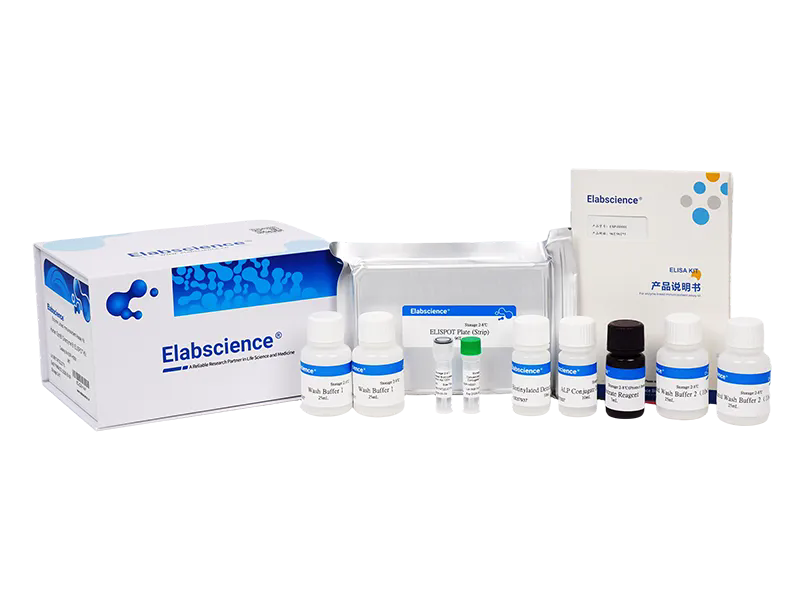 Elabscience 去甲腎上腺素(NA/NE) elisa試劑盒-E-EL-0047,NA/NE(Noradrenaline/Norepinephrine) ELISA Kit;NA/NE(Noradrenaline/Norepinephrine