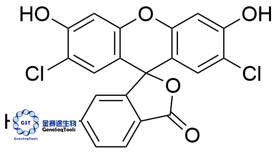 6-羧基-2',7'-二氯二氫熒光素,6-Carboxyl-2',7'-dichlorodihydrofluorescein