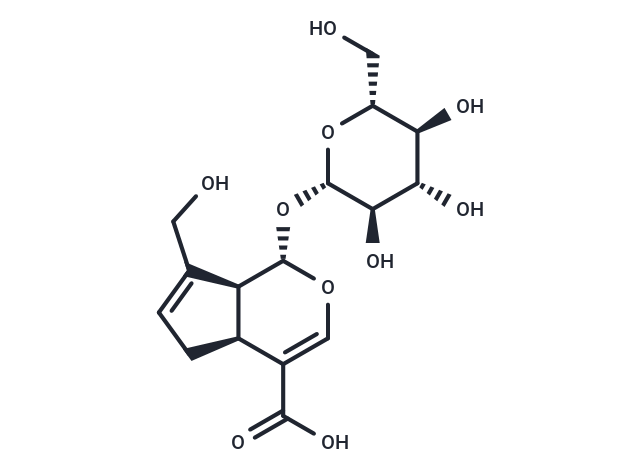 京尼平苷酸,Geniposidic Acid