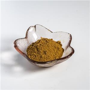 茶葉提取物,Pu