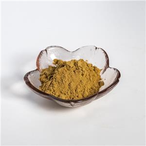 杜仲葉提取物,Eucommia Leaf Extract