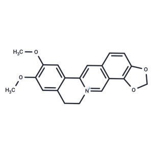 表小檗堿,Epiberberine