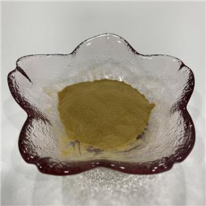 藍(lán)鳶尾全草提取物,Iris versicolor Whole Plant Extract