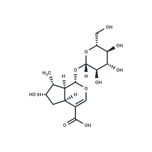 馬錢苷酸,Loganic acid