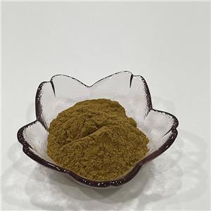 南非醉茄內(nèi)脂1%,Withanolides