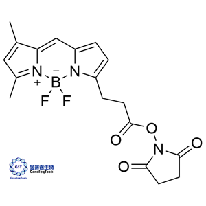 146616-66-2 | BODIPY FL succinimide ester;BDP FL NHS ester BODIPY FL 琥珀酰亞胺酯