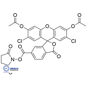 852299-81-1 | 6-Carboxy-2',7'-dichlorofluorescein 3',6'-Diacetate Succinimidyl Ester;6-Carboxy-DCF DA Succinimidyl Ester