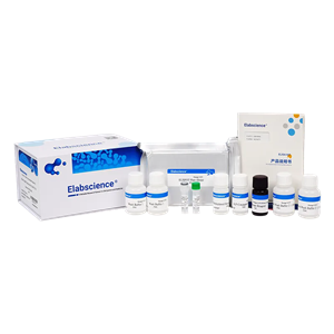 Elabscience 小鼠γ干擾素(IFN-γ) elisa試劑盒-E-EL-M0048