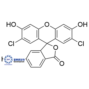 144316-86-9 | 6-Carboxyl-2',7'-dichlorodihydrofluorescein 6-羧基-2',7'-二氯二氫熒光素