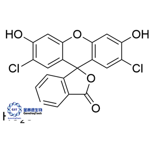 142975-81-3 | 5-Carboxyl-2',7'-dichlorodihydrofluorescein 5-羧基-2',7'-二氯二氫熒光素