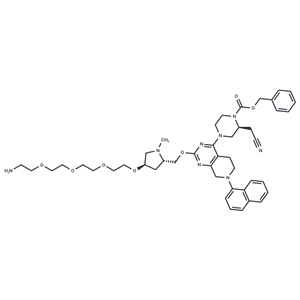 化合物 K-Ras ligand-Linker Conjugate 2|T18055|TargetMol