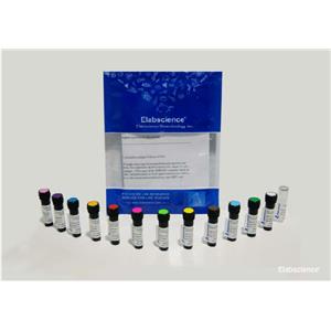 Elabscience流式抗体 APC标记抗小鼠CD3抗体[17A2]-E-AB-F1013E