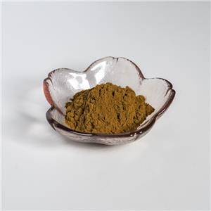 竹葉提取物,Bamboo Leaf Extract