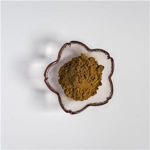 竹葉提取物,Bamboo Leaf Extract