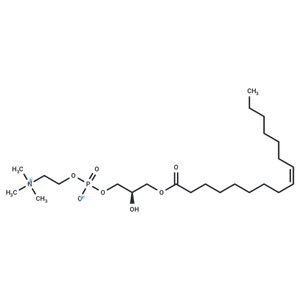 化合物 1-Palmitoleoyl-2-hydroxy-sn-glycero-3-PC|T87960|TargetMol