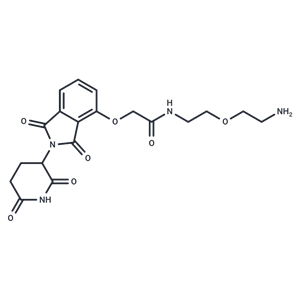 Thalidomide-O-amido-PEG-C2-NH2|T39427|TargetMol