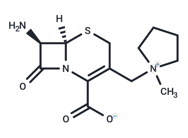 化合物 T30786,Cefepime related compound E