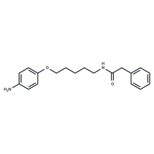 化合物 Acetamide, N-(5-(p-aminophenoxy)pentyl)-2-phenyl-|T29565|TargetMol