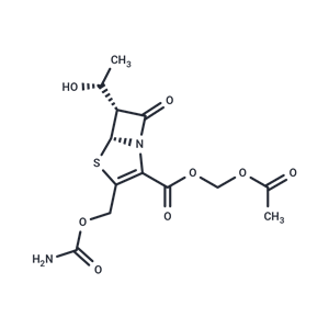 化合物 Ritipenem Acoxil|T28541|TargetMol