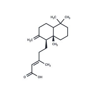 化合物 Anticopalic acid|T125218|TargetMol