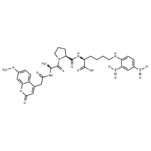 Mca-Ala-Pro-Lys(Dnp)-OH|T40384|TargetMol