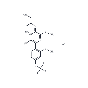 化合物 NGD 98-2 hydrochloride|T23067|TargetMol