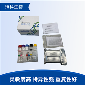 小鼠溶菌酶(LZM）elisa檢測(cè)試劑盒