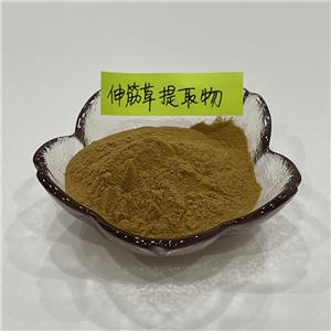伸筋草提取物,Herba Lycopodll