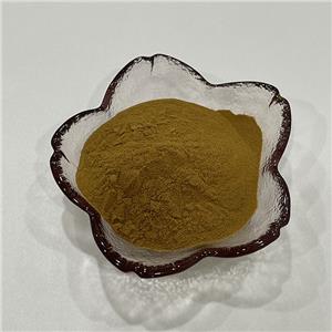 伸筋草提取物,Herba Lycopodll