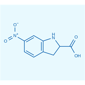 6-硝基吲哚-2-羧酸  428861-42-1 