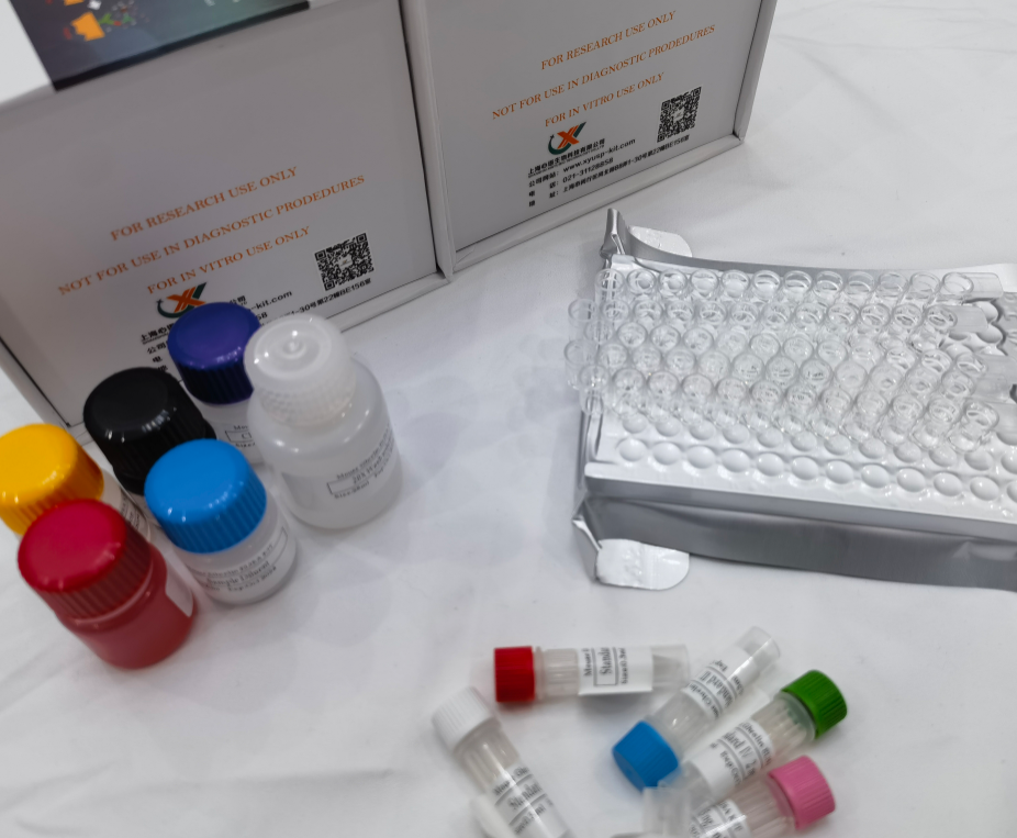 人整合素α2B(ITGα2B；CD41)ELISA检测试剂盒,Human Integrin Alpha 2B (ITGa2B) ELISA Kit